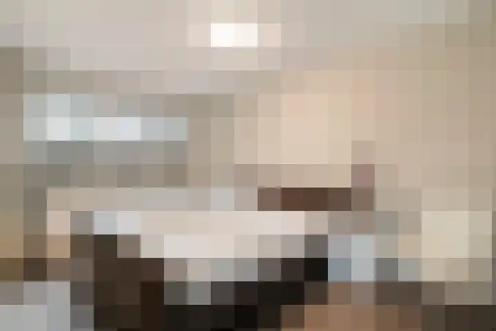 Vorenwolde 28 Ruinerwold thumbnail 13