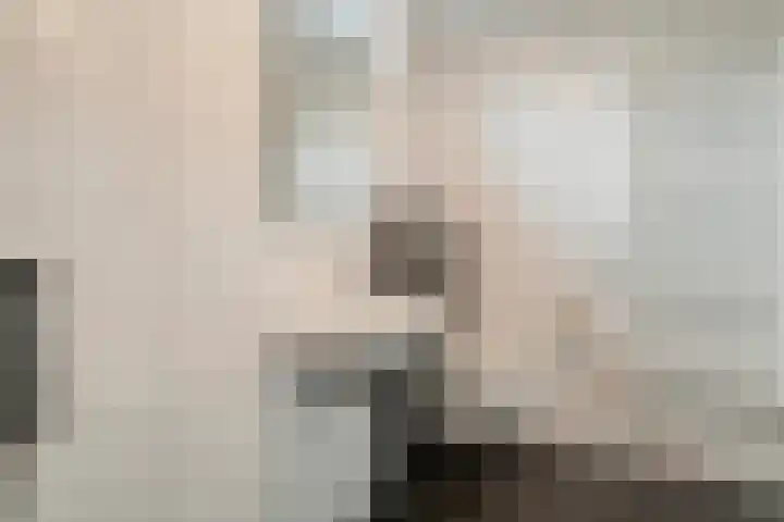 Vorenwolde 28 Ruinerwold thumbnail 16