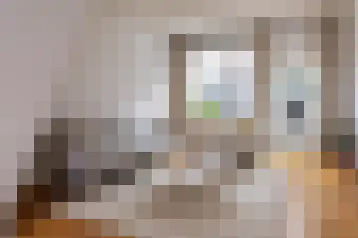 Vorenwolde 28 Ruinerwold thumbnail 19