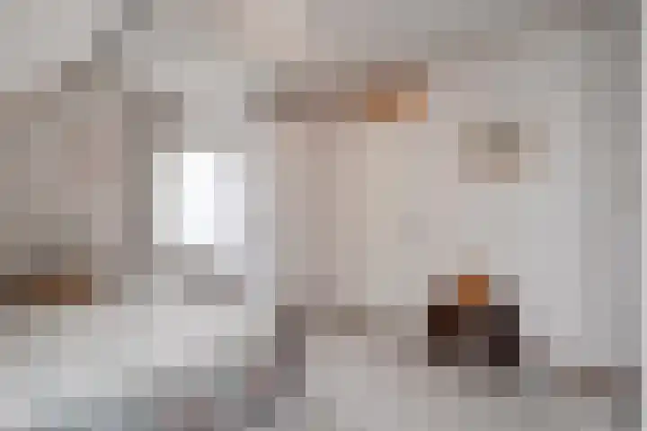 Vorenwolde 28 Ruinerwold thumbnail 22