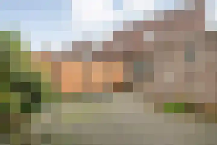 Vorenwolde 28 Ruinerwold thumbnail 31