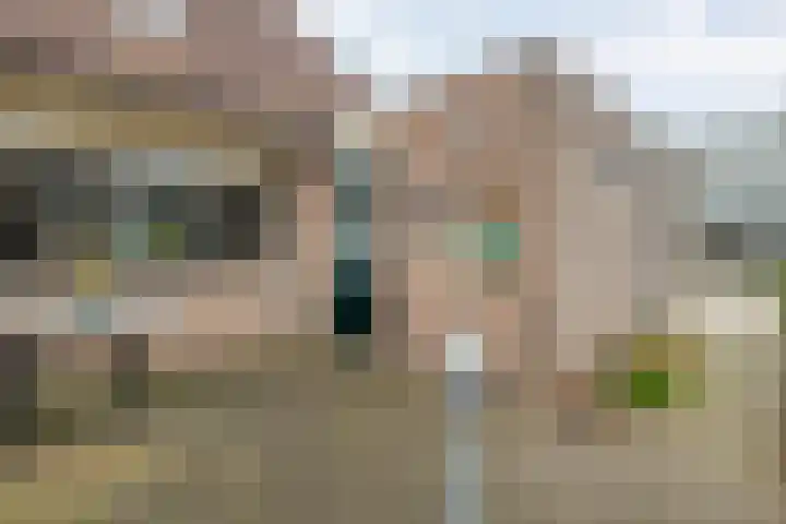 Vorenwolde 28 Ruinerwold thumbnail 32
