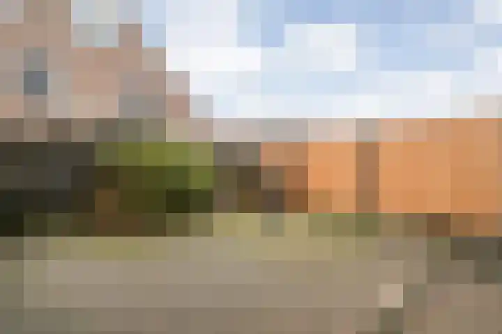 Vorenwolde 28 Ruinerwold thumbnail 36