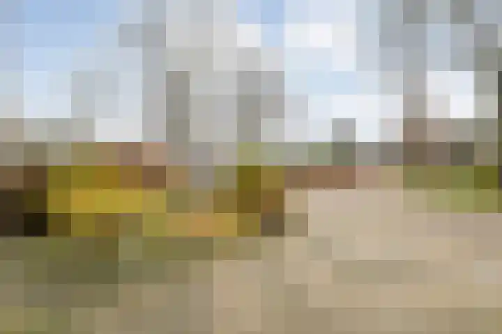 Vorenwolde 28 Ruinerwold thumbnail 39