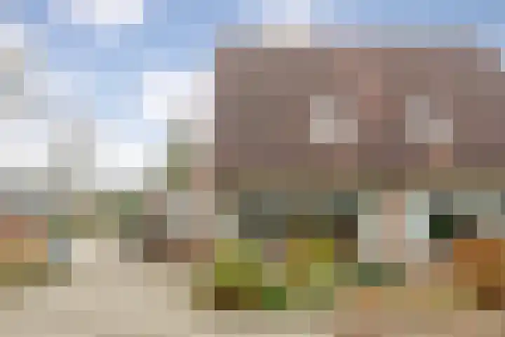 Vorenwolde 28 Ruinerwold thumbnail 41