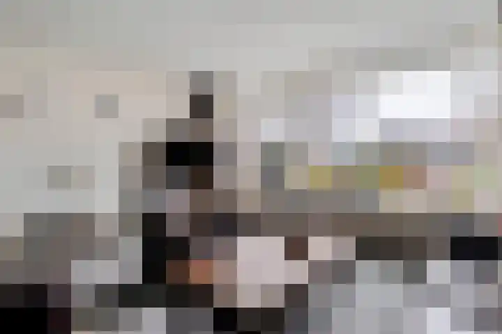 Vorenwolde 28 Ruinerwold thumbnail 6