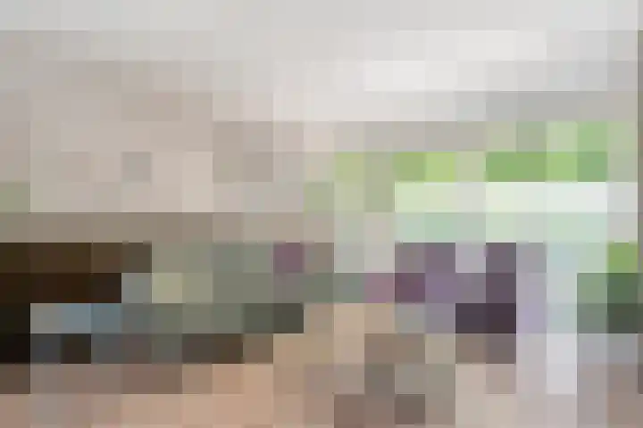 Vorenwolde 5 Ruinerwold thumbnail 10
