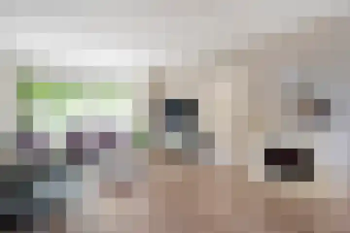 Vorenwolde 5 Ruinerwold thumbnail 11