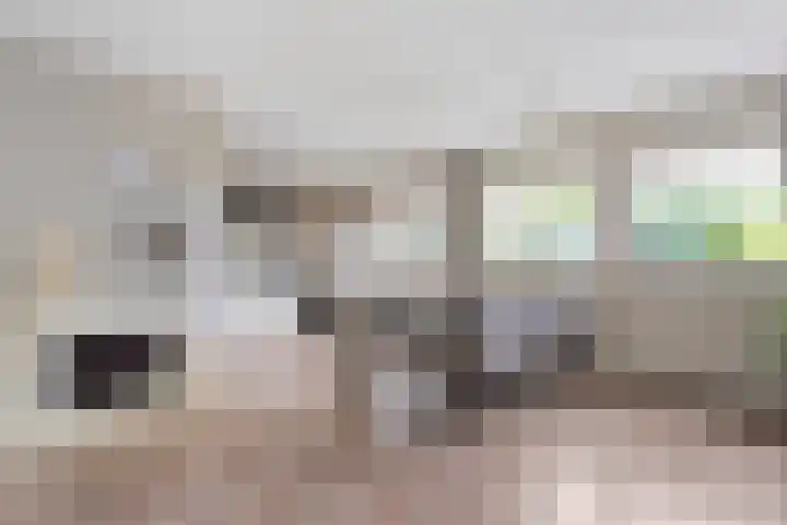 Vorenwolde 5 Ruinerwold thumbnail 12
