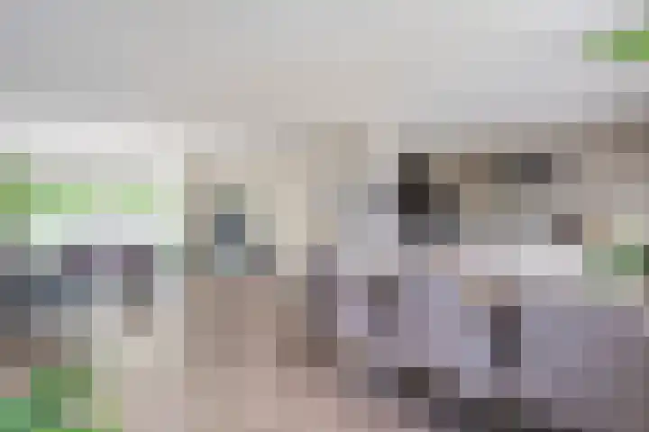 Vorenwolde 5 Ruinerwold thumbnail 14