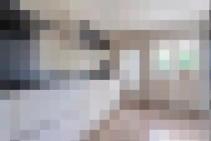 Vorenwolde 5 Ruinerwold thumbnail 17