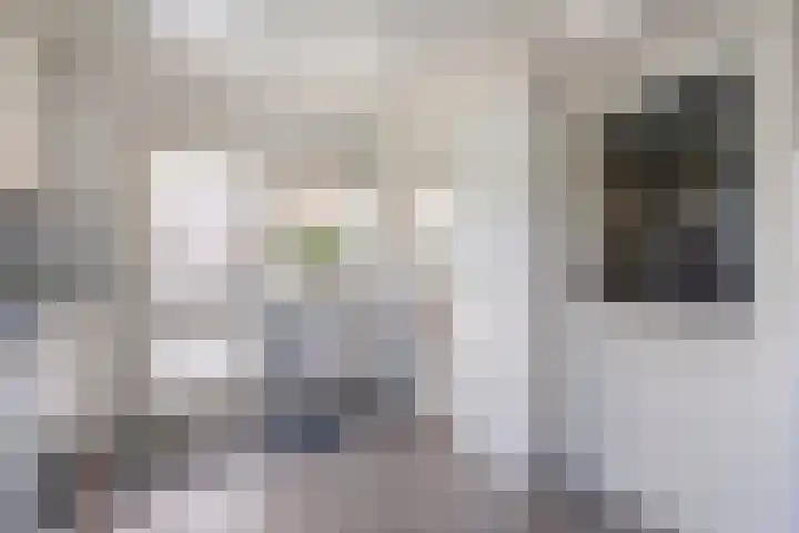 Vorenwolde 5 Ruinerwold thumbnail 19