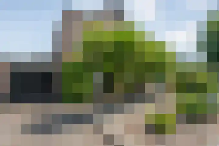 Vorenwolde 5 Ruinerwold thumbnail 32