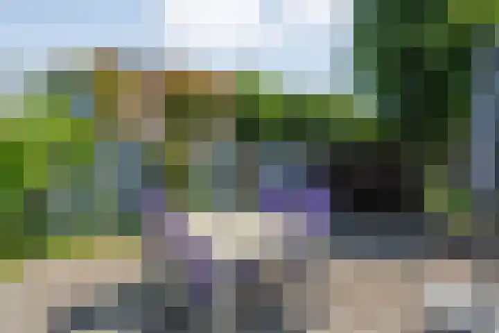 Vorenwolde 5 Ruinerwold thumbnail 35