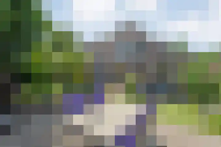 Vorenwolde 5 Ruinerwold thumbnail 36