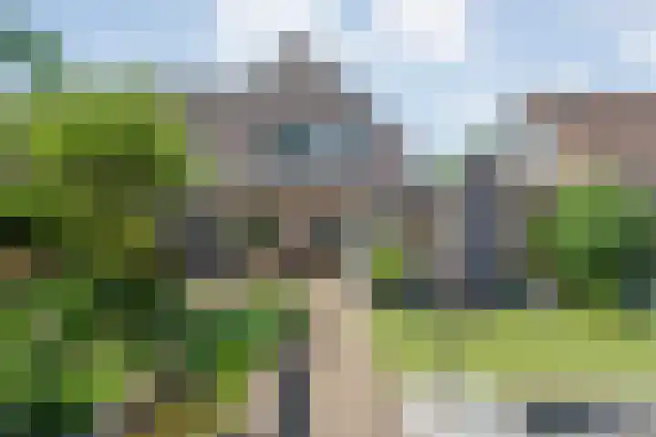 Vorenwolde 5 Ruinerwold thumbnail 37