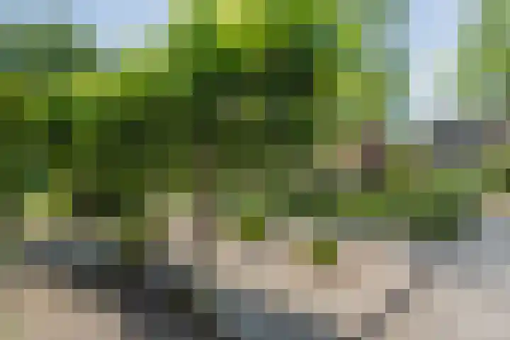 Vorenwolde 5 Ruinerwold thumbnail 38