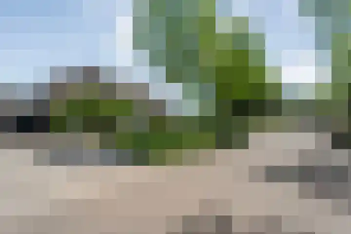 Vorenwolde 5 Ruinerwold thumbnail 40