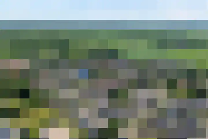 Vorenwolde 5 Ruinerwold thumbnail 41