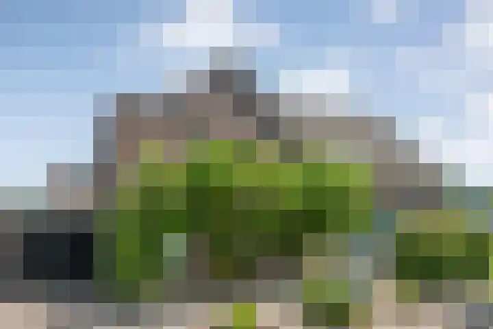 Vorenwolde 5 Ruinerwold thumbnail 42