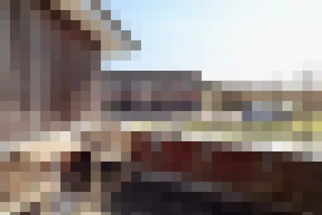 Vorkduin 20 Vlieland thumbnail 10