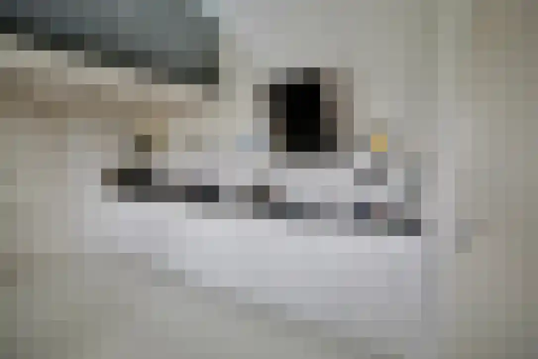 Vorkduin 20 Vlieland thumbnail 4