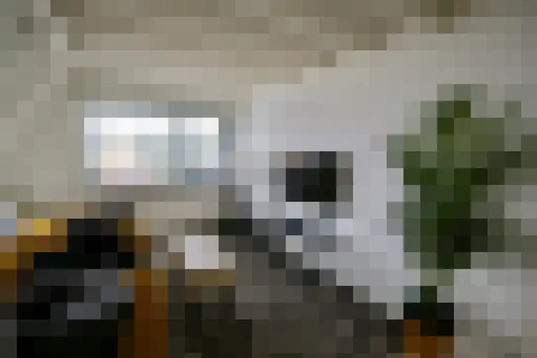 Vorkduin 20 Vlieland thumbnail 5