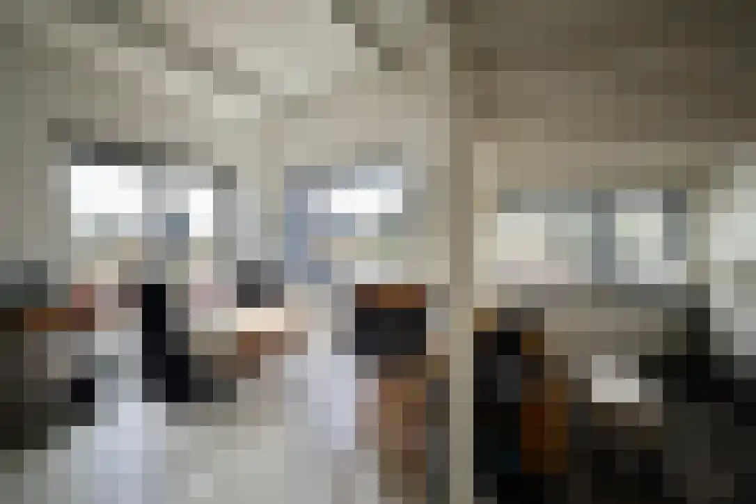 Vorkduin 20 Vlieland thumbnail 6