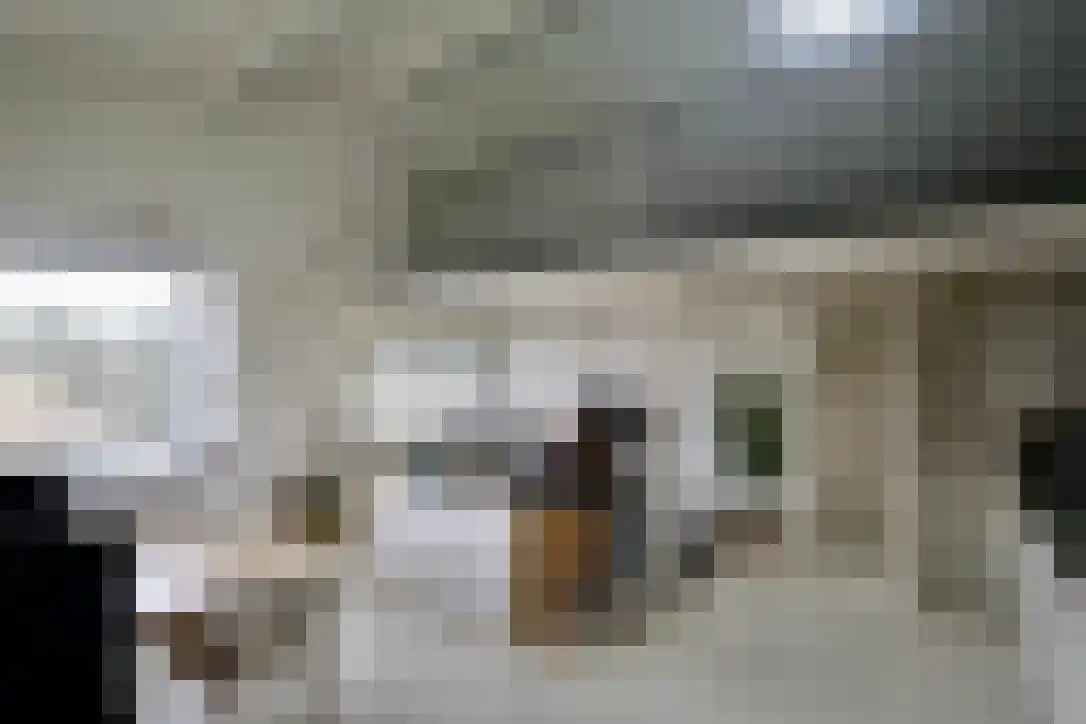 Vorkduin 20 Vlieland thumbnail 8