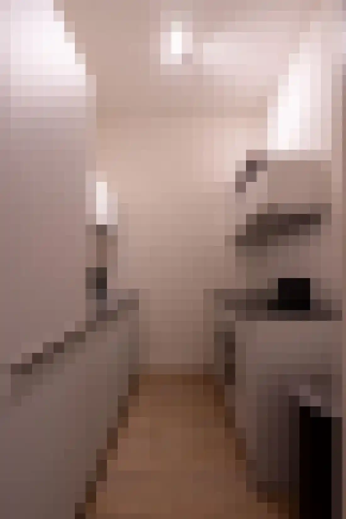 Vorkstraat 33 Rotterdam thumbnail 9
