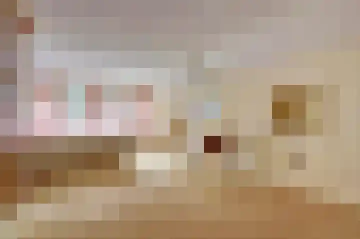 Vorleweg 59 Mill thumbnail 20