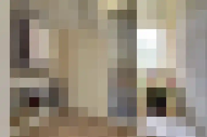 Vorleweg 59 Mill thumbnail 23