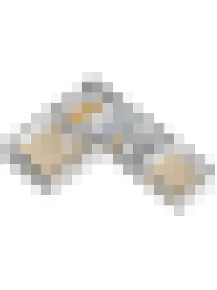 Vorleweg 59 Mill thumbnail 39