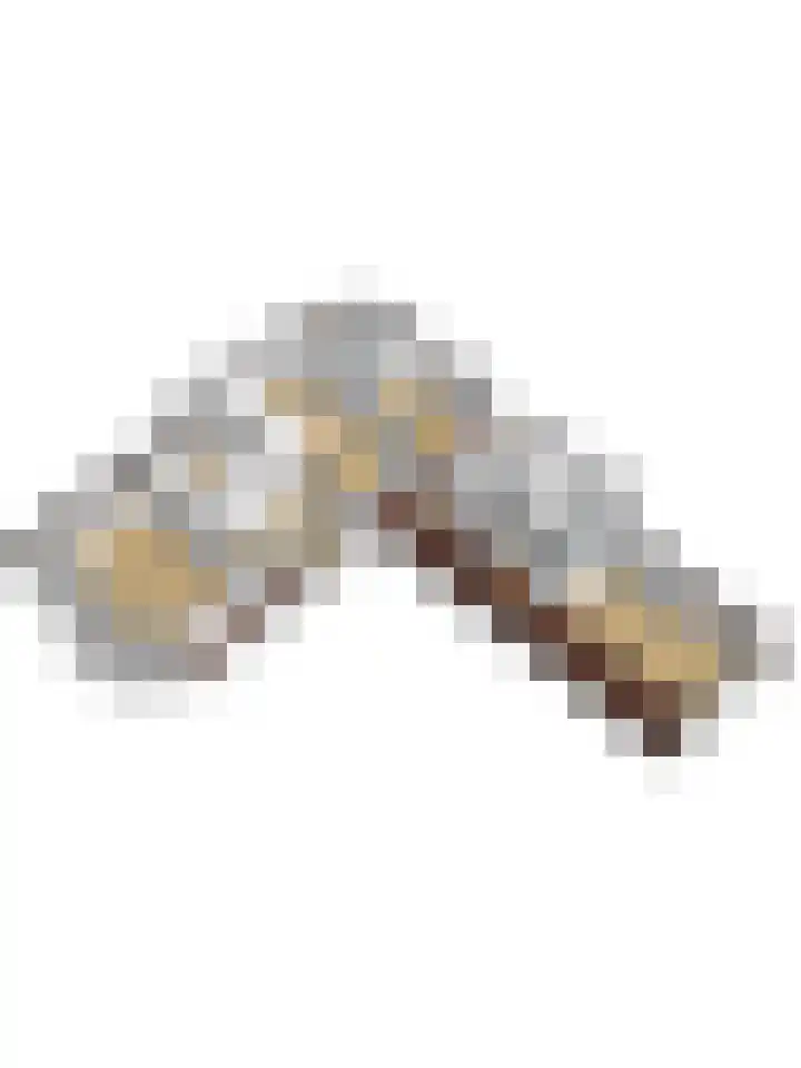 Vorleweg 59 Mill thumbnail 40