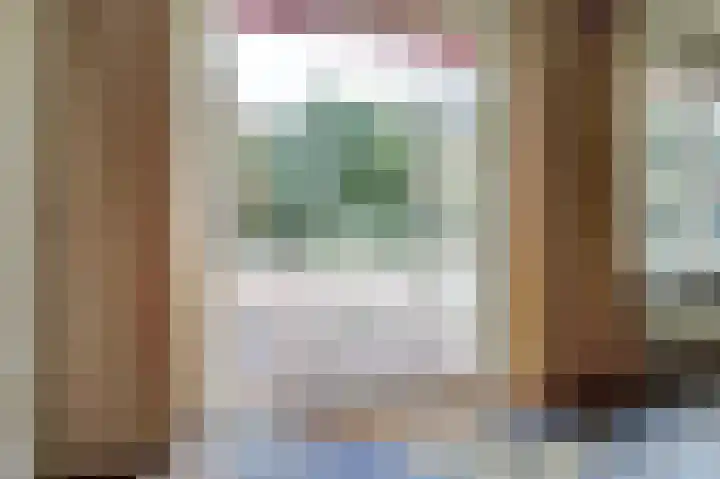 Vorleweg 59 Mill thumbnail 9