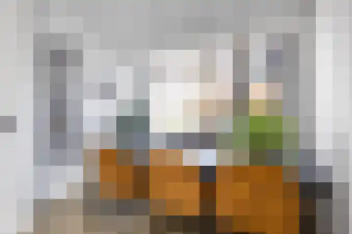 Vormer 5 Delfzijl thumbnail 19