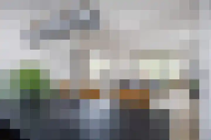 Vormer 5 Delfzijl thumbnail 20