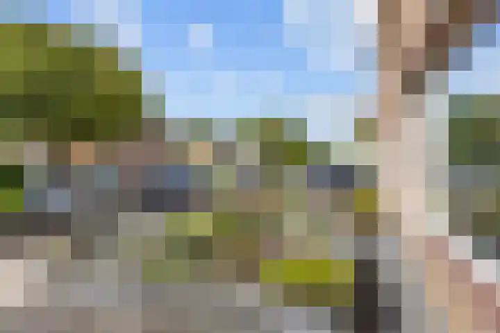 Vormer 5 Delfzijl thumbnail 52