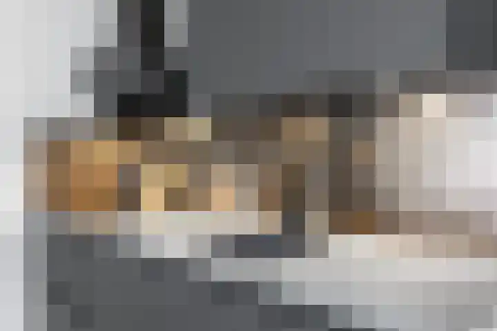 Vormer 5 Delfzijl thumbnail 6