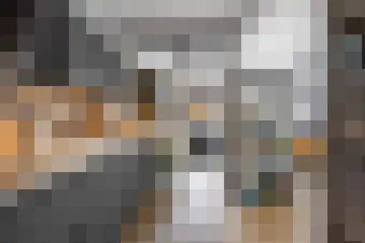 Vormer 5 Delfzijl thumbnail 8