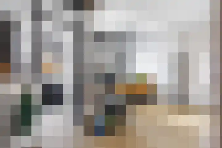 Vormer 5 Delfzijl thumbnail 9