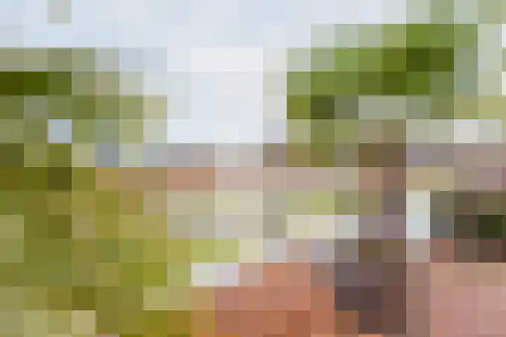 Vormerij 2 Ulft thumbnail 35