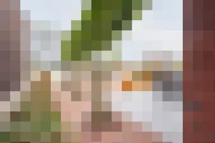 Vormerij 2 Ulft thumbnail 36