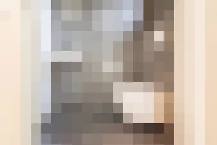 Vormerij 2 Ulft thumbnail 9