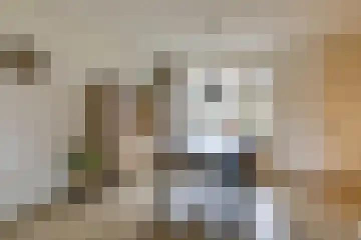Vormerijstraat 21 Gaanderen thumbnail 10