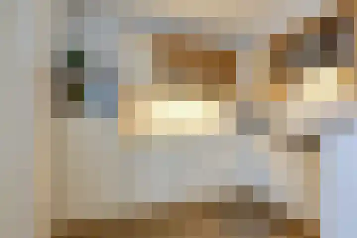 Vormerijstraat 21 Gaanderen thumbnail 13