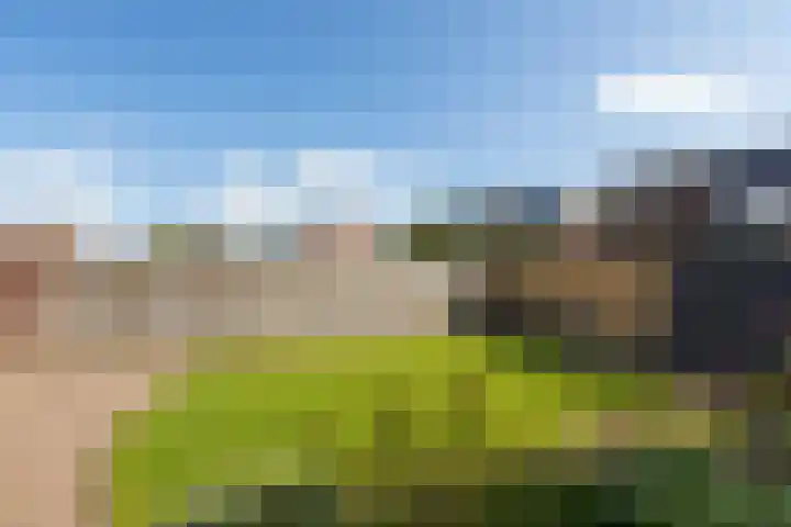 Vormerijstraat 21 Gaanderen thumbnail 17
