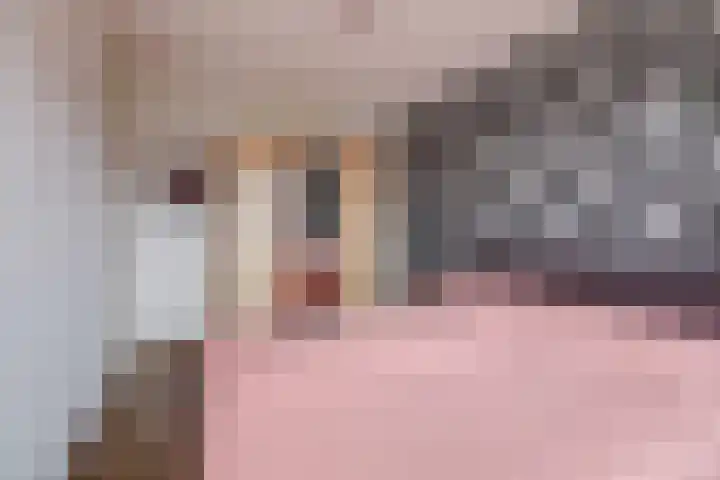 Vormerijstraat 21 Gaanderen thumbnail 27