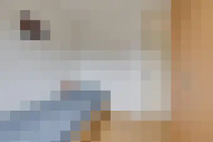 Vormerijstraat 21 Gaanderen thumbnail 29