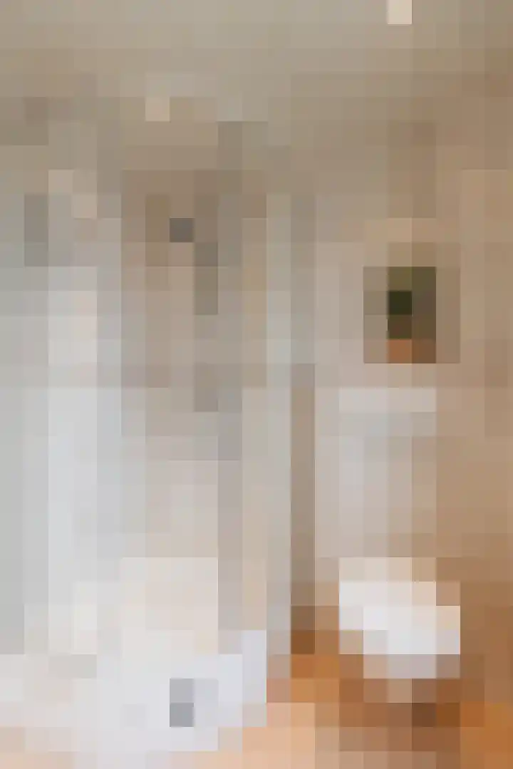 Vormerijstraat 21 Gaanderen thumbnail 33